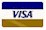 Visa Card